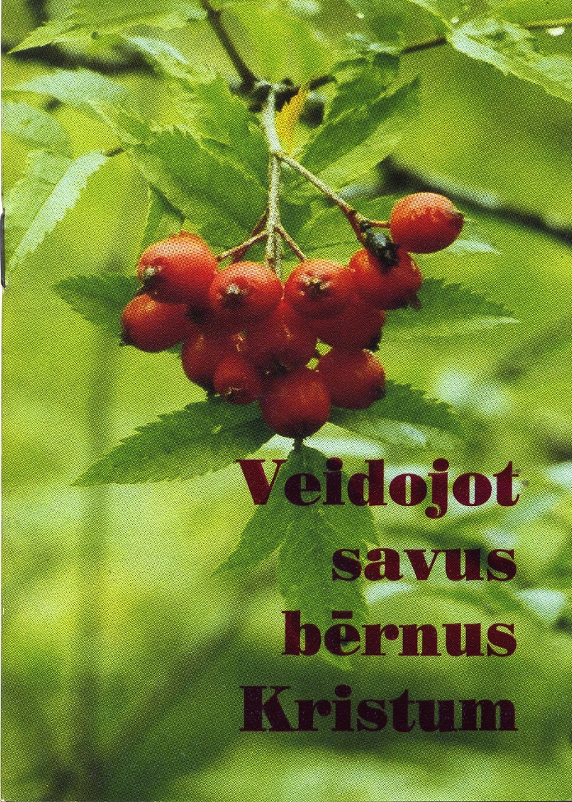 Veidojot savus bērnus Kristum